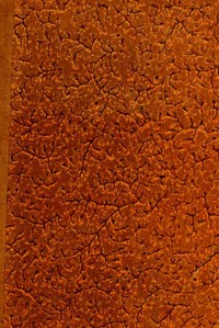 Louis XIV et Marie Mancini d'après de nouveaux documents