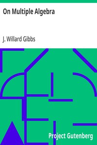 On Multiple Algebra