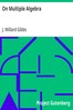 On Multiple Algebra