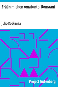 Erään miehen omatunto: Romaani