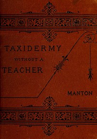 Taxidermy without a Teacher