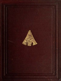 The Ancient Stone Implements, Weapons and Ornaments, of Great Britain