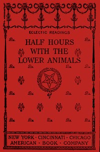 Half hours with the lower animals :  protozoans, sponges, corals, shells, insects, and crustaceans