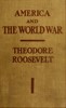 America and the World War