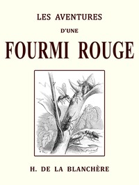 Les aventures d'une fourmi rouge et les mémoires d'un pierrot
