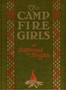 The Camp Fire Girls at Driftwood Heights