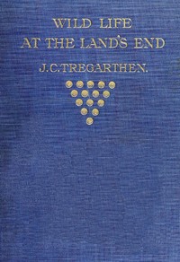 Wild Life at the Land's End