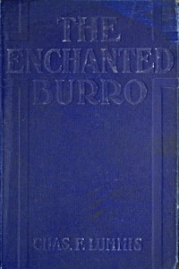 The Enchanted Burro
