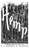 Hemp
