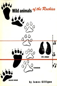 Wild Animals of the Rockies