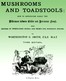 Mushroom and Toadstools