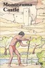 Montezuma Castle National Monument, Arizona