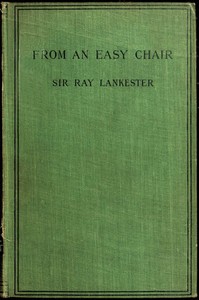 From an Easy Chair