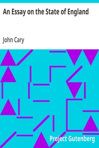 An Essay on the State of England