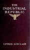 The industrial republic: a study of the America of ten years hence