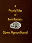 A Pictorial Atlas of Fossil Remains, consisting of coloured illustrations selected from Parkinson's "Organic remains of a former world," and Artis's "Antediluvian phytology."