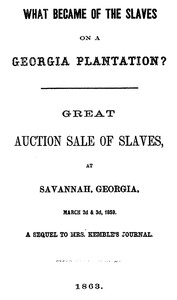 What Became of the Slaves on a Georgia Plantation?