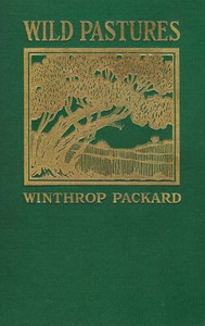 Wild Pastures