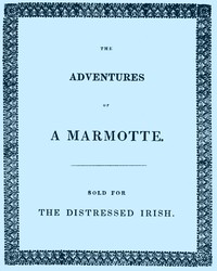 The Adventures of a Marmotte