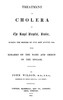 Treatment of Cholera in the Royal Hospital, Haslar
