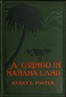 A Gringo in Mañana-Land