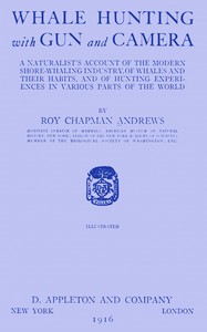 Whale hunting with gun and camera