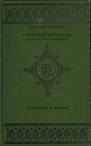 The Pampas and Andes: A Thousand Miles' Walk Across South America