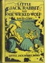 Little Jack Rabbit and Mr. Wicked Wolf