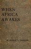 When Africa awakes