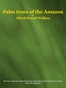 Palm trees of the Amazon and their uses