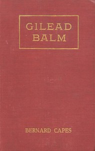 Gilead Balm, knight errant :  His adventures in search of the truth
