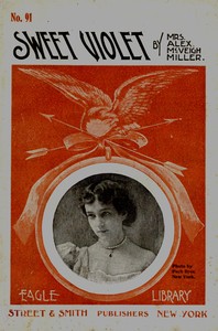 Sweet Violet :  or, the fairest of the fair