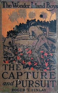 The Wonder Island boys :  capture and pursuit