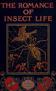 The romance of insect life :  Interesting descriptions of the strange and curious in the insect world