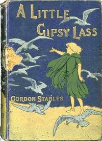 A little gipsy lass :  A story of moorland and wild