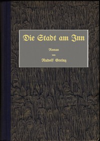 Die Stadt am Inn :  Roman