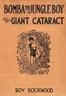 Bomba the jungle boy at the giant cataract :  Or, Chief Nascanora and his captives