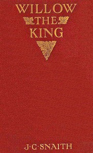 Willow the king :  The story of a cricket match