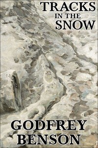 Tracks in the snow :  Being the history of a crime