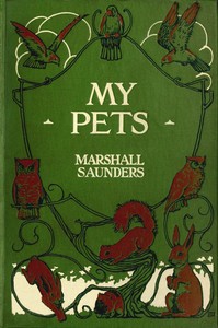 My pets :  Real happenings in my aviary
