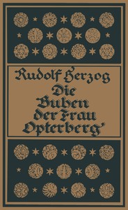 Die Buben der Frau Opterberg :  Roman