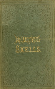 Beautiful shells :  Their nature, structure, and uses familiarly explained; with directions for collecting, cleaning, and arranging them in the cabinet; descriptions of the most remarkable species, and of the creatures which inhabit them; and explanations of the meanings of their scientific names, and of the terms used in conchology