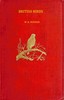 British birds