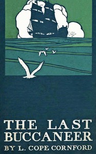 The last buccaneer :  or, The trustees of Mrs A.