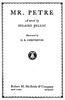 Mr. Petre :  a novel