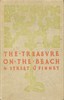 The treasure on the beach