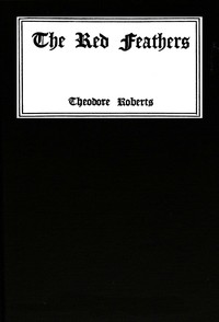 The red feathers :  A story of remarkable adventures when the world was young