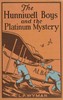 The Hunniwell boys and the platinum mystery