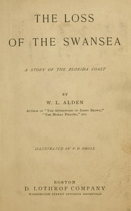 The loss of the Swansea :  A story of the Florida coast
