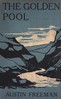 The golden pool :  A story of a forgotten mine